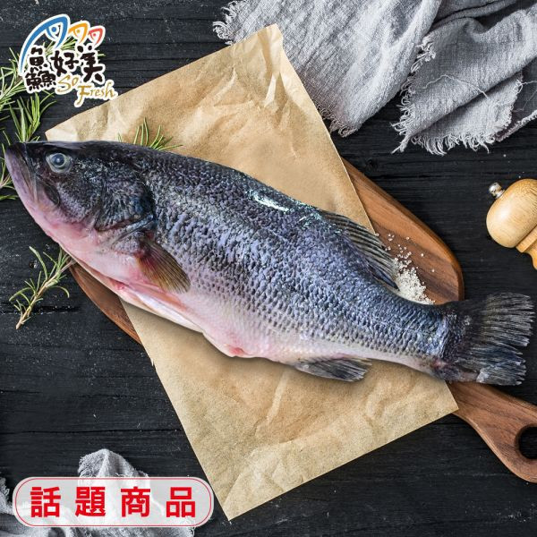 宜蘭山泉鱸魚500-600g/尾(三去) 鱸魚,手術魚,開刀,營養,魚油,DHA,蛋白質,簡單料理,全台宅配到府,健康營養美味吃得安心,最優質的生鮮產品,認證安心好食材,料理食譜