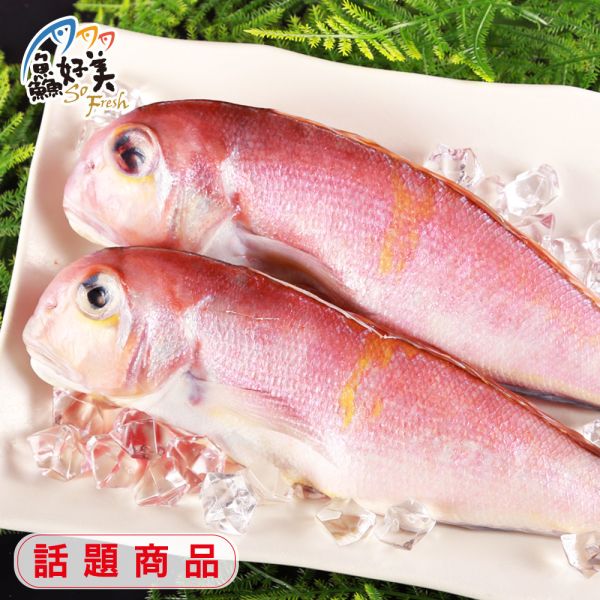 鮮凍馬頭魚_250g±10%/尾(三去) 馬頭魚,鮮魚,營養,魚油,DHA,蛋白質,無細刺,膠原蛋白,日本,甘鯛,簡單料理,全台宅配到府,健康營養美味吃得安心,最優質的生鮮產品,認證安心好食材,料理食譜