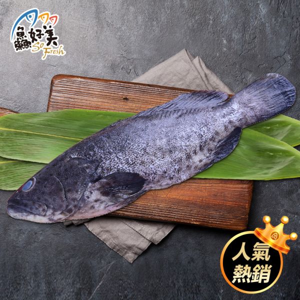 鮮凍石斑450g上/尾(三去) 石斑魚,鮮魚,營養,魚油,DHA,蛋白質,簡單料理,全台宅配到府,健康營養美味吃得安心,最優質的生鮮產品,認證安心好食材,料理食譜