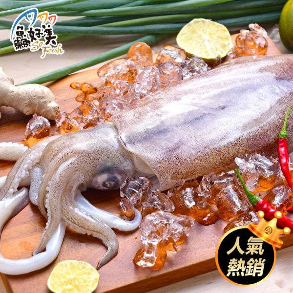活凍大軟絲500g/隻 軟絲,超大,營養,熱炒,蛋白質,簡單料理,全台宅配到府,健康營養美味吃得安心,最優質的生鮮產品,認證安心好食材,料理食譜