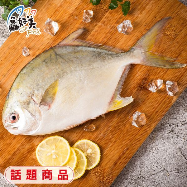 野生黃金鯧_500g-600g/尾(三去) 金鯧魚,鮮魚,營養,魚油,DHA,蛋白質,簡單料理,全台宅配到府,健康營養美味吃得安心,最優質的生鮮產品,認證安心好食材,料理食譜