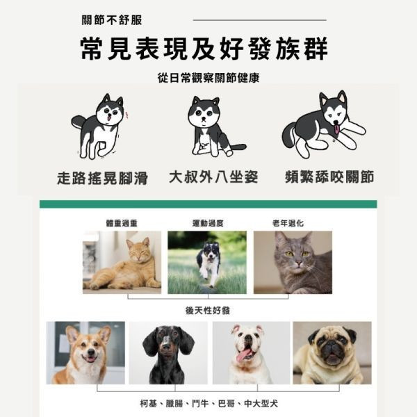 【關節軟骨素】雙膠原蛋白補軟骨護關節｜活力加倍彈跳更自由 