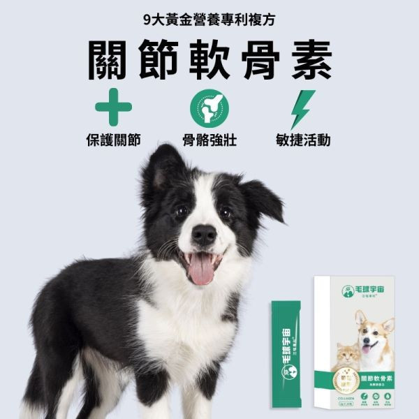 【關節軟骨素】雙膠原蛋白補軟骨護關節｜活力加倍彈跳更自由 