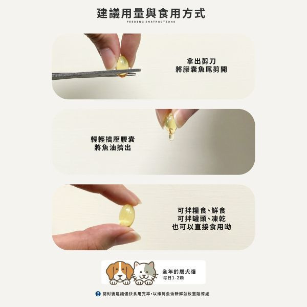 【超全能魚油】西班牙85%高濃度Omega-3｜優質豐富高營養ALL IN 1 