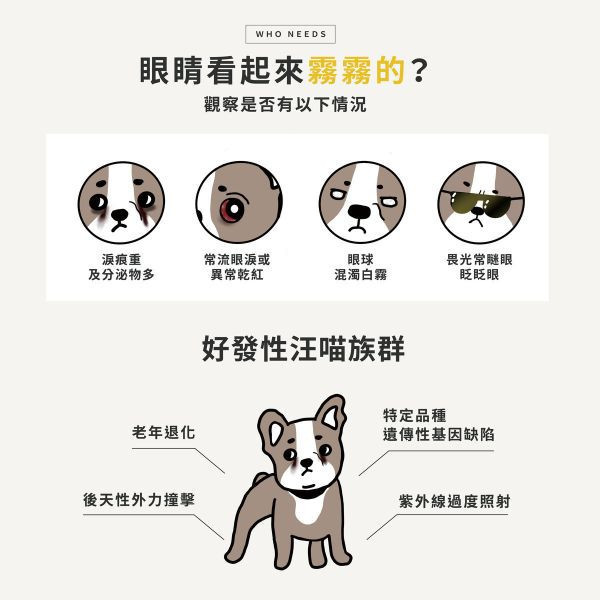 【睛亮葉黃素】超抗氧化5:1高濃度｜潤澤清晰護眼首選 