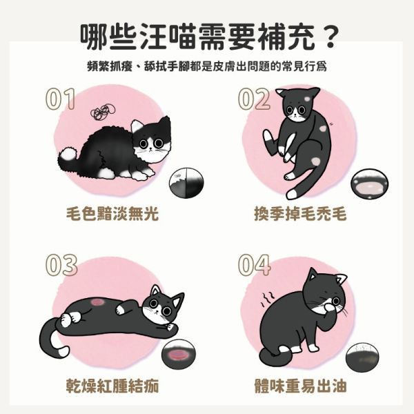 【舒膚益生菌】90億皮毛專利益生菌｜天擇香滋潤保濕｜美膚亮毛超舒服 