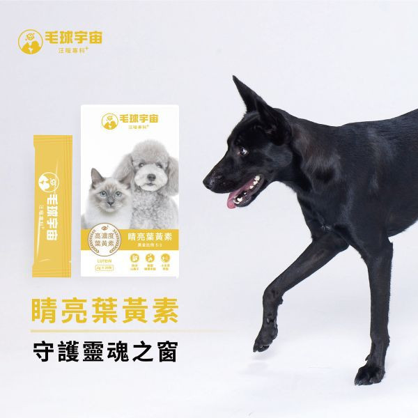 【睛亮葉黃素】超抗氧化5:1高濃度｜潤澤清晰護眼首選 