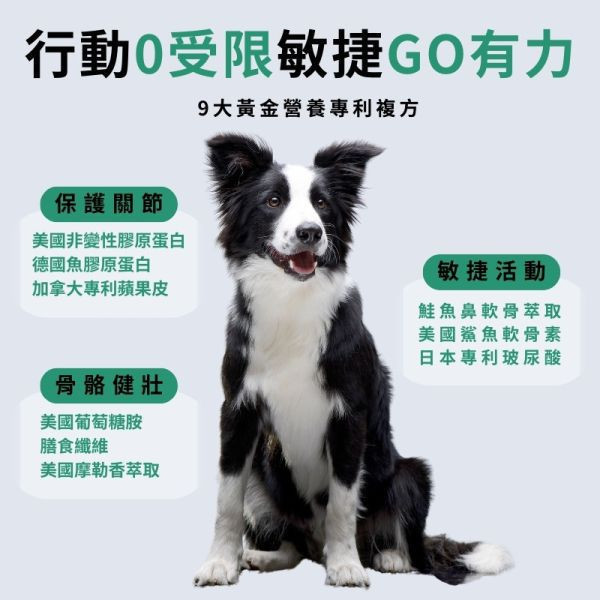 【關節軟骨素】雙膠原蛋白補軟骨護關節｜活力加倍彈跳更自由 
