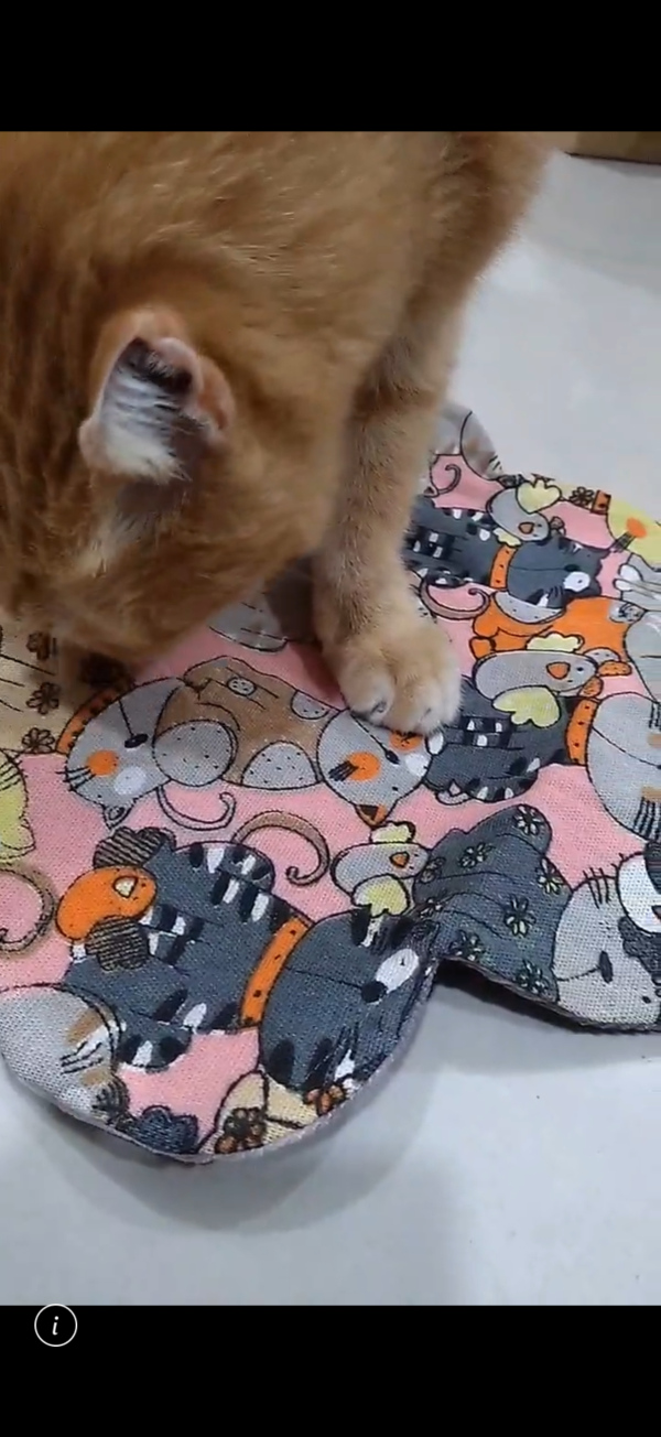 Okamoomoo歐卡牛牛-貓草包part2 