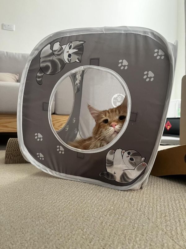 貓壹 魔術方塊 mofusand限定款 