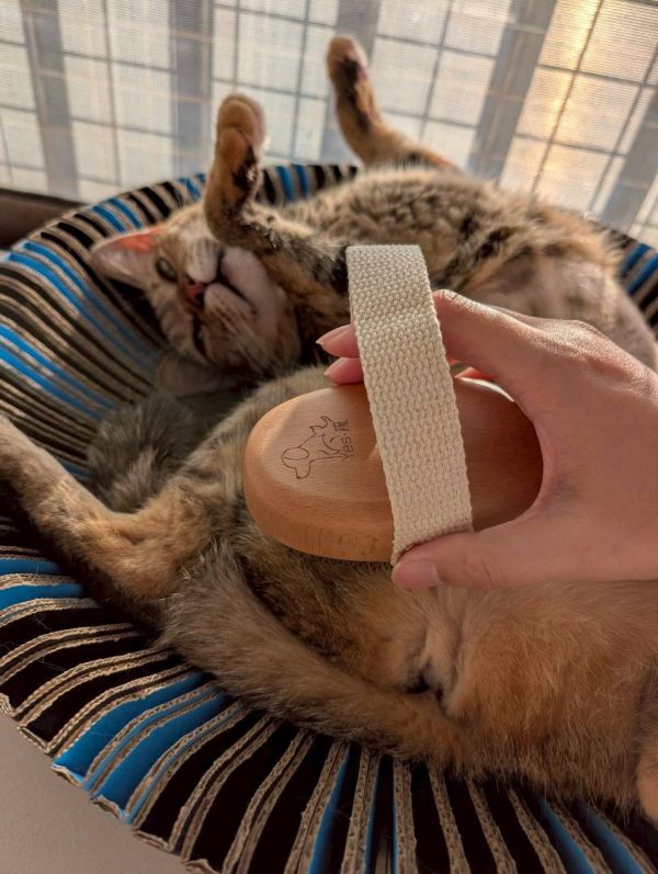 中明yes梳 - 不鏽鋼負離子密針梳(短毛適用) 