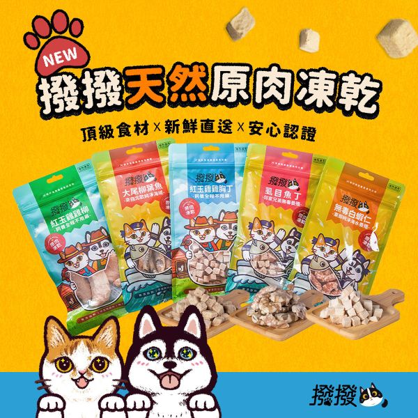 撥撥凍乾 