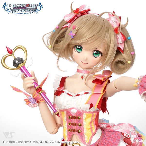 DD 佐藤心【限定品】 