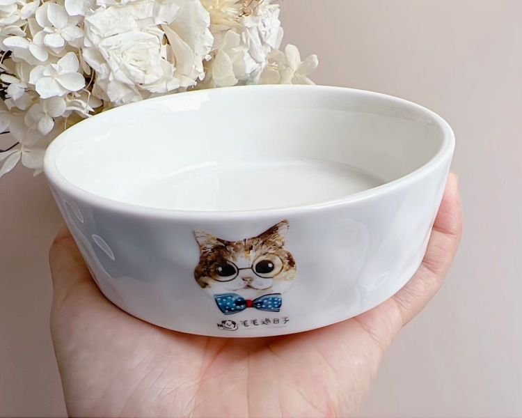 陶瓷貓碗 