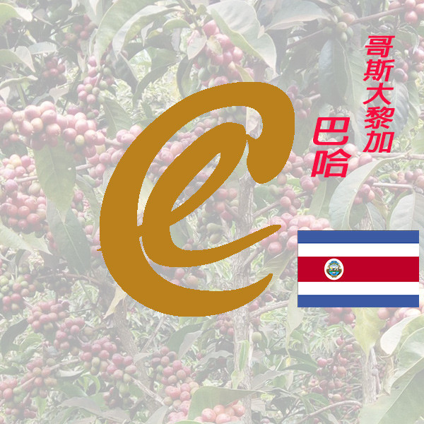 哥斯大黎加 卡內特音樂家系列 巴哈 哥斯大黎加 卡內特音樂家系列 巴哈