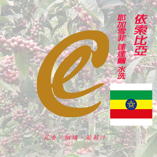 衣索比亞 耶加雪菲產區達達圖水洗  衣索比亞 耶加雪菲產區達達圖水洗