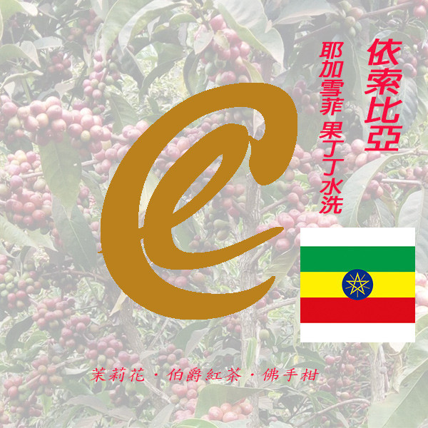 衣索比亞 耶加雪菲產區 果丁丁水洗　 衣索比亞 耶加雪菲產區 果丁丁水洗　