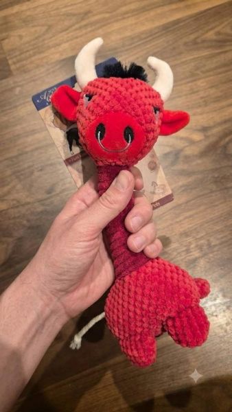 長脖子動物有聲寵物玩具 寵物玩具
互動
拔河
丟接
啾啾叫！
獨特「玉米粒立體織紋」全面滿足啃咬欲,
長條身形超好抓握
是毛孩最愛的紓壓好夥伴