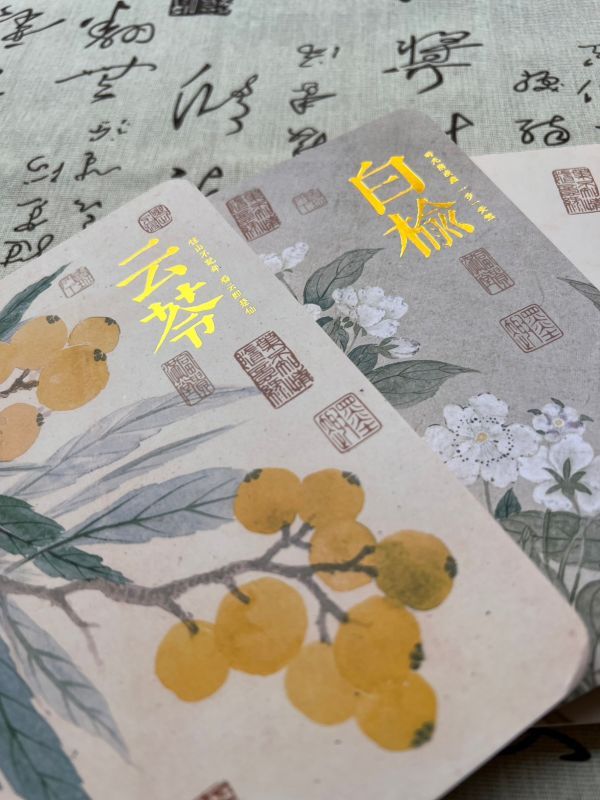 花晨月夕(花朝)_文藝古典空白筆記本/手帳本/蓋章本 