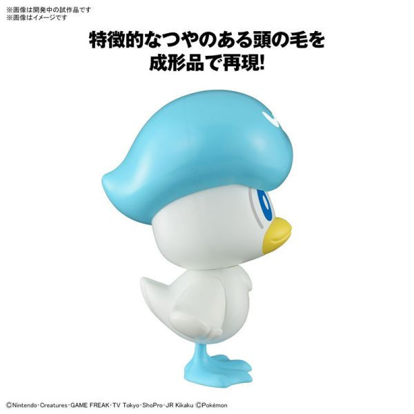 BANDAI 精靈寶可夢 神奇寶貝 Pokemon PLAMO 快組系列 019 潤水鴨 組裝模型 