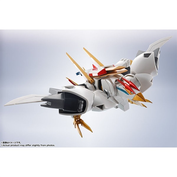 BANDAI METAL ROBOT魂 <SIDE MASHIN>龍王丸 