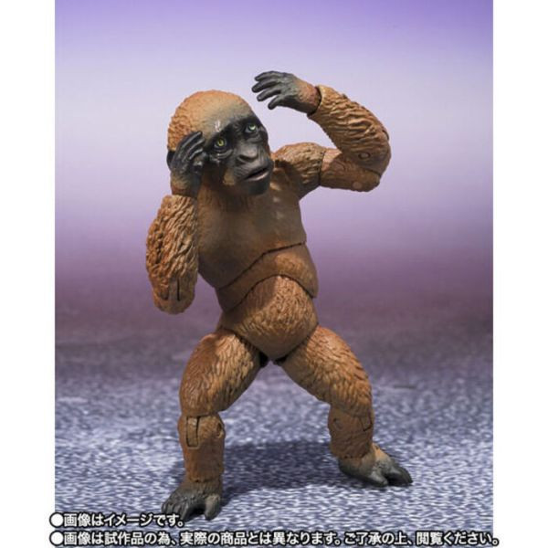 BANDAI S.H.MonsterArts SHM 哥吉拉與金剛 新帝國 小酷&摩斯拉 