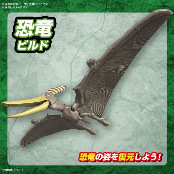 新恐龍 無齒翼龍 組裝模型 