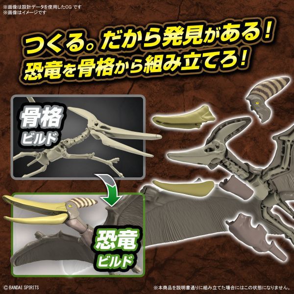 新恐龍 無齒翼龍 組裝模型 