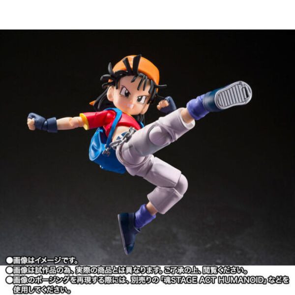 BANDAI S.H.Figuarts SHF 七龍珠 GT 小芳 / 吉魯 可動完成品 