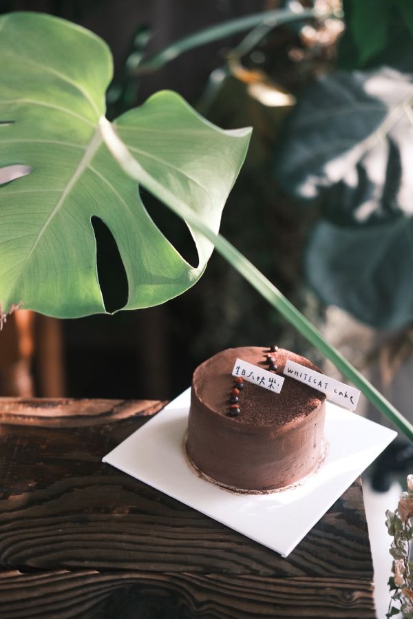 可可戚風蛋糕 金門甜點,金門美食,金門旅遊,生日蛋糕,蛋糕,金門伴手禮,巧克力戚風,父親節蛋糕,母親節蛋糕,蛋糕外送,草莓蛋糕,達克瓦茲,提拉米蘇,草莓大福,戚風蛋糕,水果蛋糕,泡芙,金門下午茶,金門咖啡,金門民宿