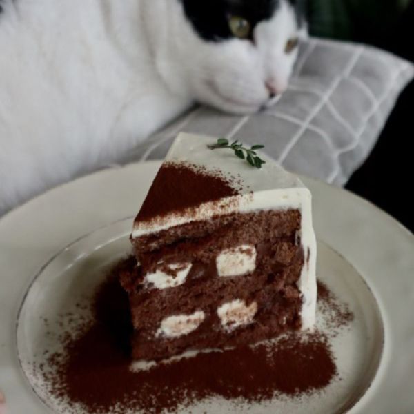 本月蛋糕【可可蘭姆戚風】 金門甜點,金門美食,金門旅遊,生日蛋糕,蛋糕,金門伴手禮,巧克力戚風,父親節蛋糕,母親節蛋糕,蛋糕外送,草莓蛋糕,達克瓦茲,提拉米蘇,草莓大福,戚風蛋糕,水果蛋糕,泡芙,金門下午茶,金門咖啡,金門民宿