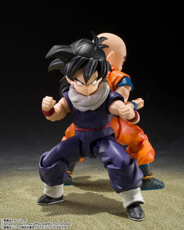 11月預購 S.H.Figuarts SHF 七龍珠 孫悟飯 Z戰士 (初回限定Z戰士集結台座A附屬版) 可動完成品 