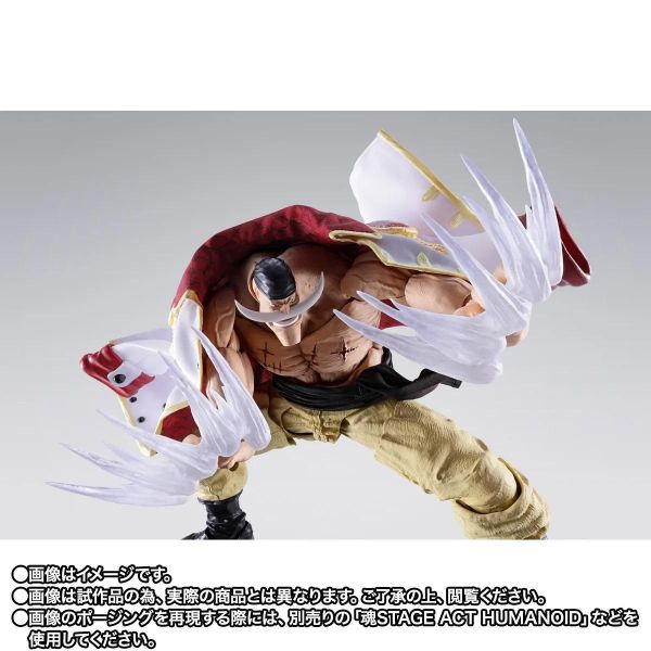 27年6月預購 魂商店限定 S.H.Figuarts SHF 航海王 艾德華·紐蓋特 白鬍子 -馬林福特頂上戰爭篇- 可動完成品 