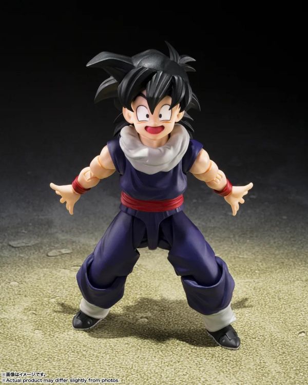 11月預購 S.H.Figuarts SHF 七龍珠 孫悟飯 Z戰士 (初回限定Z戰士集結台座A附屬版) 可動完成品 