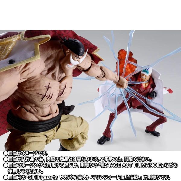 27年6月預購 魂商店限定 S.H.Figuarts SHF 航海王 艾德華·紐蓋特 白鬍子 -馬林福特頂上戰爭篇- 可動完成品 