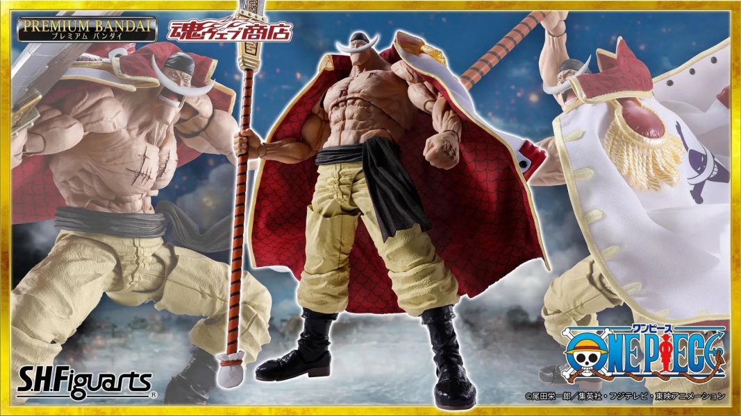 27年6月預購 魂商店限定 S.H.Figuarts SHF 航海王 艾德華·紐蓋特 白鬍子 -馬林福特頂上戰爭篇- 可動完成品 