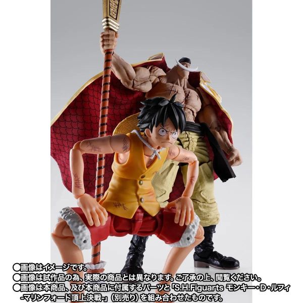 27年6月預購 魂商店限定 S.H.Figuarts SHF 航海王 艾德華·紐蓋特 白鬍子 -馬林福特頂上戰爭篇- 可動完成品 