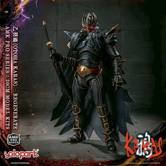 12月預購 YOLOPARK AMK PRO 鴉 KARAS 乙羽鴉 新生版 預組裝可動模型 