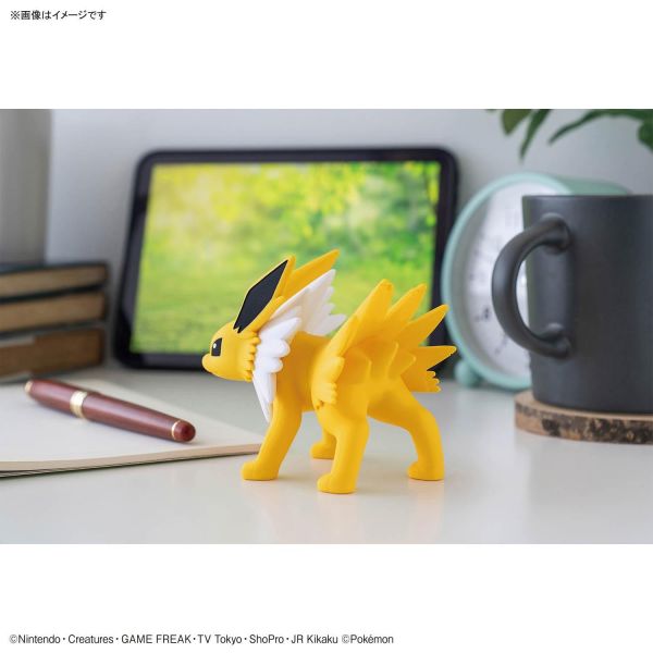 [現貨] 萬代 Pokémon PLAMO 收藏集 快組版!! 26 雷伊布 組裝模型 #5072526 
