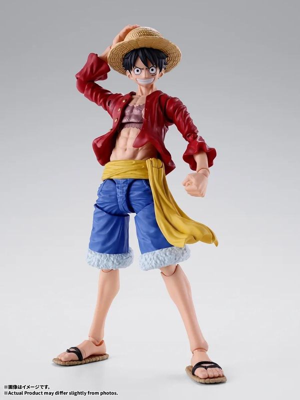 27年4月預購 S.H.Figuarts SHF 航海王 海賊王 蒙其·D·魯夫 新世界 可動完成品 