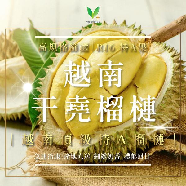 越南干堯榴槤 盒裝 現貨 冷凍榴槤果肉 越南干堯榴槤、RI6榴槤、越南榴槤、冠軍產區榴槤、冷凍榴槤、熟成榴槤、頂級榴槤、榴槤直送、厚實果肉榴槤、香氣濃郁榴槤、奶香榴槤、榴槤控推薦、榴槤宅配、榴槤甜點原料、越南RI6榴槤推薦、干堯RI6榴槤購買、榴槤禮盒、榴槤冷凍包裝、榴槤批發、榴槤愛好者必吃