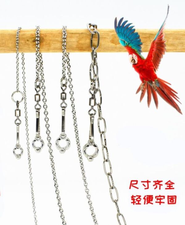 4mm-15mm活動式腳環+不鏽鋼腳鍊套組【可 搭配飛行繩 站台腳鏈】鸚鵡腳環 適用各式大中型鳥類鸚鵡 鸚鵡腳環  活動腳環 鸚鵡腳鍊