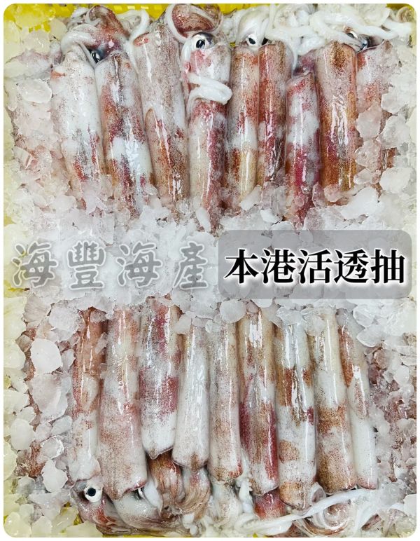 本港活透抽 