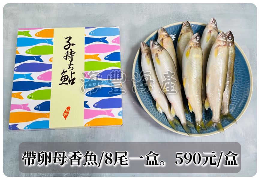 台灣帶卵母香魚（8尾裝） 