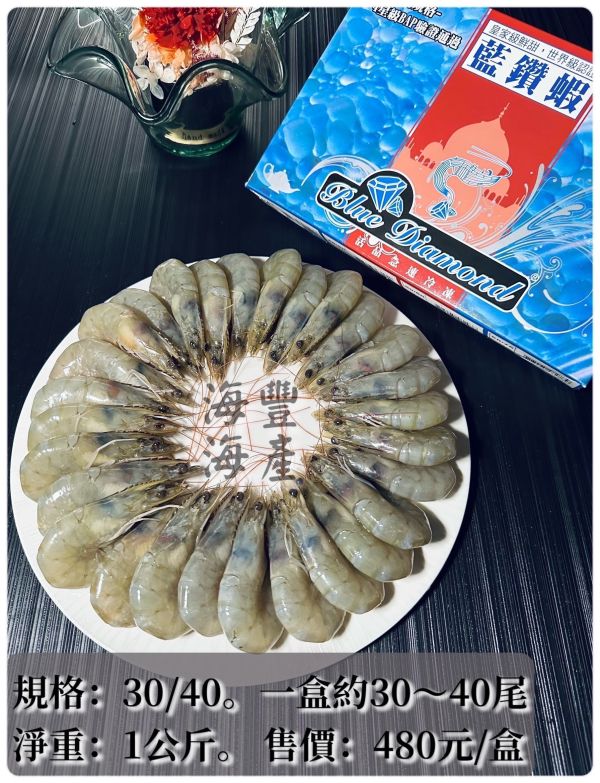 藍鑽蝦31/40 