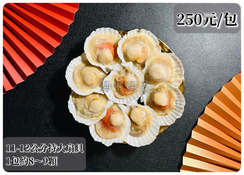 特大半殼扇貝 