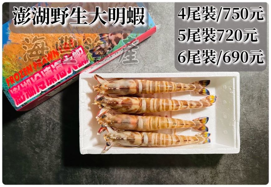 澎湖野生明蝦（4/5/6尾） 