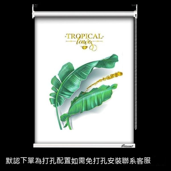捲簾百葉窗/免打孔安裝/遮光遮陽升降捲拉式 