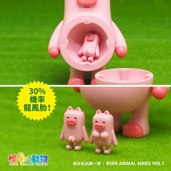 懷孕動物 盲盒 第一彈 