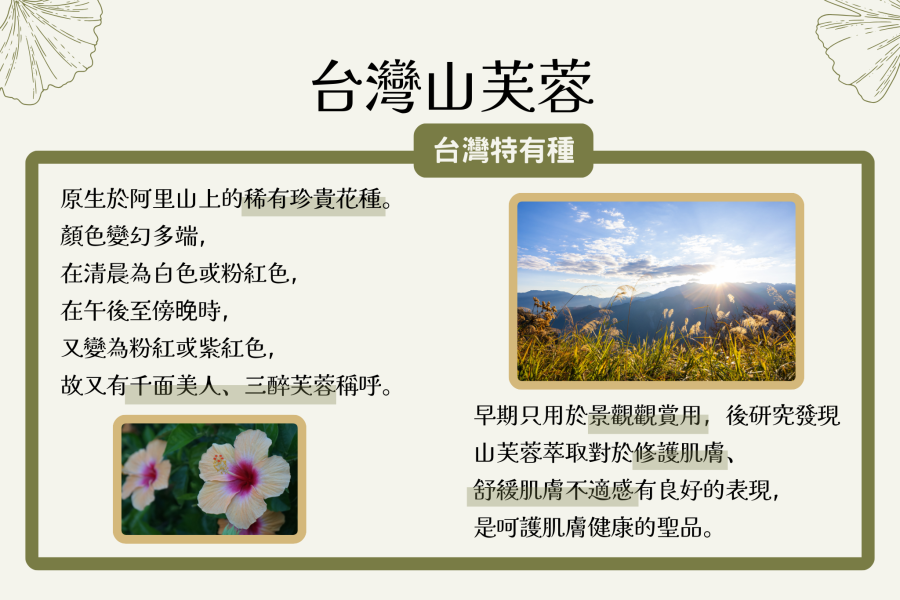 蓮新-山芙蓉草本精萃凝露 山芙蓉凝露,草本保濕,敏感肌修護,曬後修護,乾性肌膚保養,台灣高山植物精華,草本修護凝露,草本舒緩,天然草本護膚,肌膚防護,保濕修護,戶外活動後肌膚,溫和日常保養,肌膚修護凝露,植物精華保養,保濕修護草本。